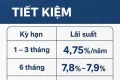 Cuộc đua lãi suất cuối năm nóng lên, nhiều ngân hàng chào mức 8%/năm